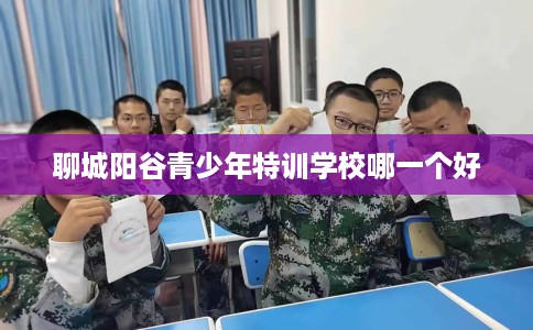 聊城阳谷青少年特训学校哪一个好