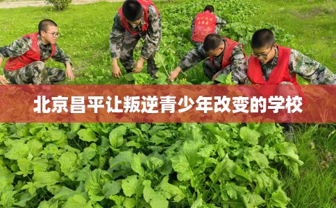 北京昌平让叛逆青少年改变的学校