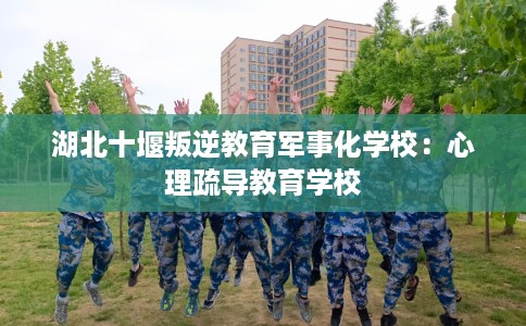 湖北十堰叛逆教育军事化学校：心理疏导教育学校