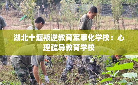湖北十堰叛逆教育军事化学校：心理疏导教育学校