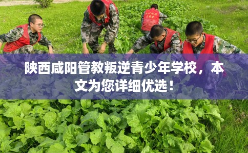 陕西咸阳管教叛逆青少年学校，本文为您详细优选！