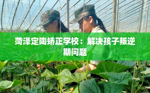 菏泽定陶矫正学校：解决孩子叛逆期问题