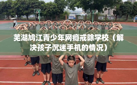 芜湖鸠江青少年网瘾戒除学校（解决孩子沉迷手机的情况）
