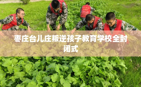 枣庄台儿庄叛逆孩子教育学校全封闭式