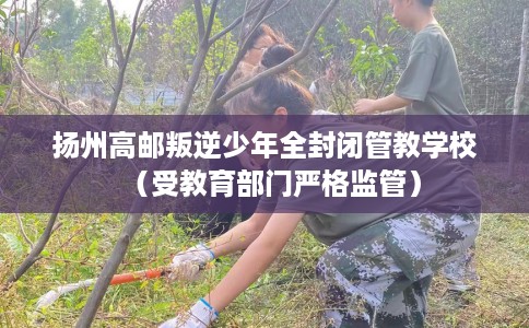 扬州高邮叛逆少年全封闭管教学校（受教育部门严格监管）