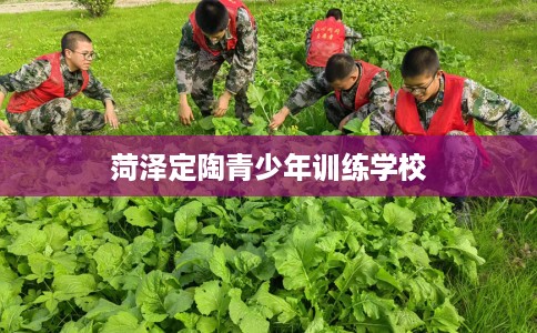 菏泽定陶青少年训练学校