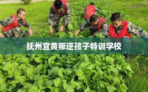 抚州宜黄叛逆孩子特训学校