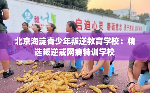 北京海淀青少年叛逆教育学校:精选叛逆戒网瘾特训学校 北京海淀青少年叛逆教育学校:精选叛逆戒网瘾特训学校
