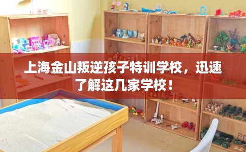 上海金山叛逆孩子特训学校，迅速了解这几家学校！