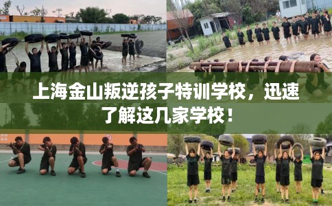 上海金山叛逆孩子特训学校，迅速了解这几家学校！