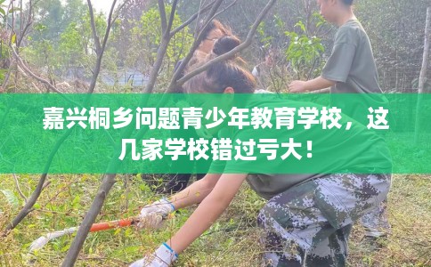 嘉兴桐乡问题青少年教育学校，这几家学校错过亏大！