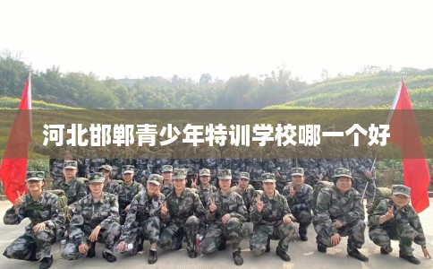 河北邯郸青少年特训学校哪一个好