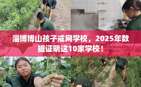淄博博山孩子戒网学校，2025年数据证明这10家学校！