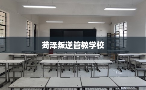 菏泽叛逆管教学校
