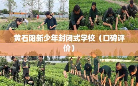 黄石阳新少年封闭式学校（口碑评价）