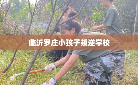 临沂罗庄小孩子叛逆学校 临沂罗庄小孩子叛逆学校