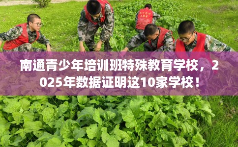 南通青少年培训班特殊教育学校，2025年数据证明这10家学校！