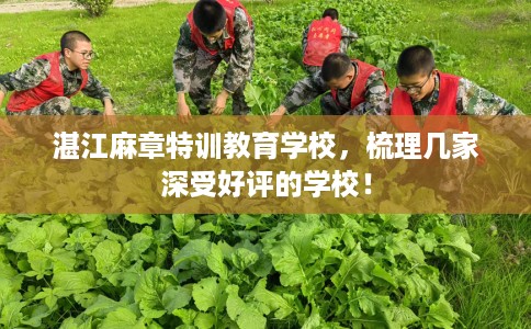 湛江麻章特训教育学校，梳理几家深受好评的学校！