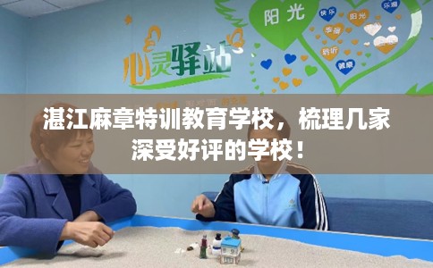 湛江麻章特训教育学校，梳理几家深受好评的学校！