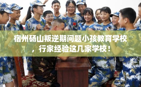 宿州砀山叛逆期问题小孩教育学校，行家经验这几家学校！