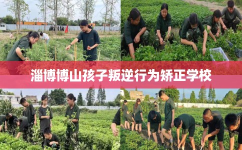 淄博博山孩子叛逆行为矫正学校