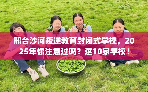 邢台沙河叛逆教育封闭式学校，2025年你注意过吗？这10家学校！