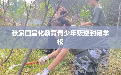 张家口宣化教育青少年叛逆封闭学校