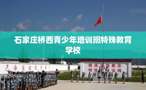 石家庄桥西青少年培训班特殊教育学校