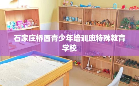 石家庄桥西青少年培训班特殊教育学校