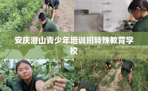 安庆潜山青少年培训班特殊教育学校