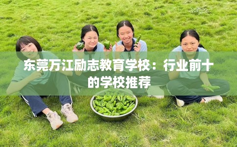 东莞万江励志教育学校：行业前十的学校推荐
