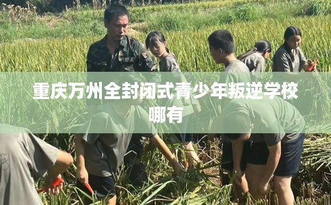 重庆万州全封闭式青少年叛逆学校哪有