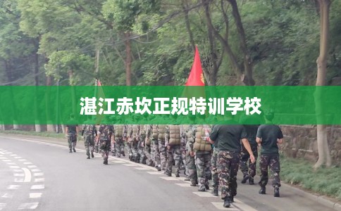 湛江赤坎正规特训学校