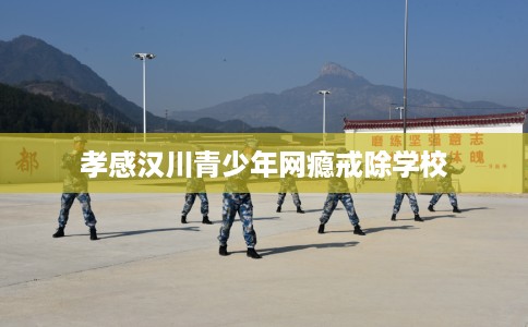 孝感汉川青少年网瘾戒除学校