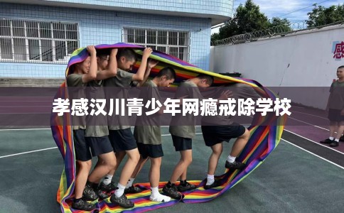 孝感汉川青少年网瘾戒除学校