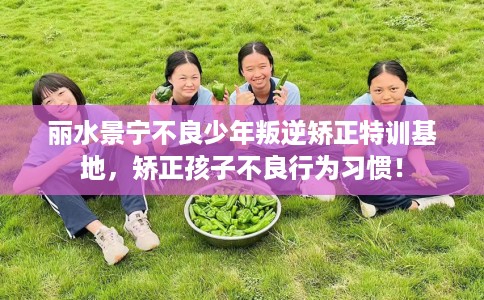 丽水景宁不良少年叛逆矫正特训基地，矫正孩子不良行为习惯！