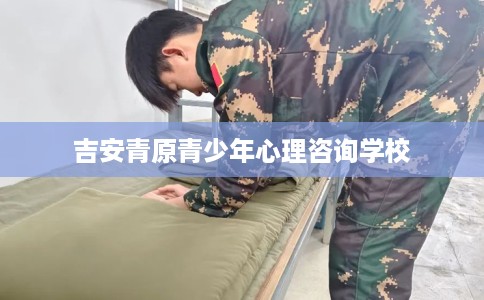 吉安青原青少年心理咨询学校