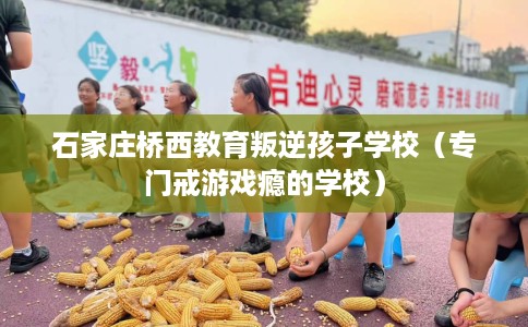 石家庄桥西教育叛逆孩子学校（专门戒游戏瘾的学校）