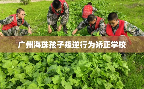 广州海珠孩子叛逆行为矫正学校