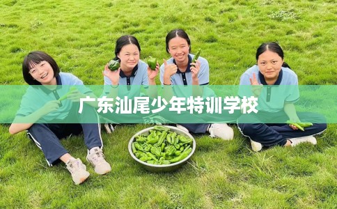 广东汕尾少年特训学校