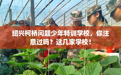 绍兴柯桥问题少年特训学校，你注意过吗？这几家学校！