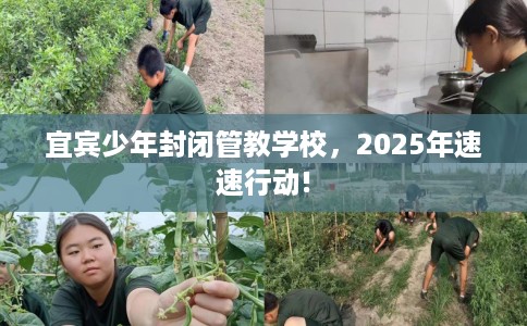 宜宾少年封闭管教学校，2025年速速行动!