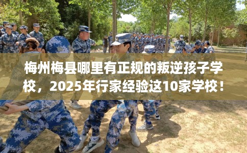 梅州梅县哪里有正规的叛逆孩子学校，2025年行家经验这10家学校！
