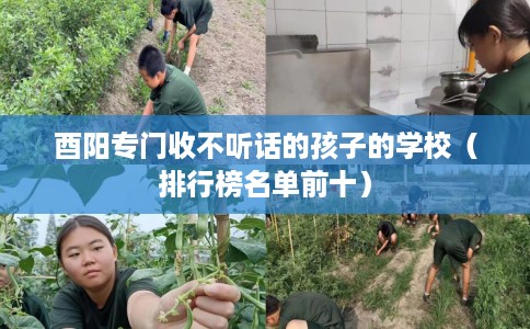 酉阳专门收不听话的孩子的学校（排行榜名单前十）