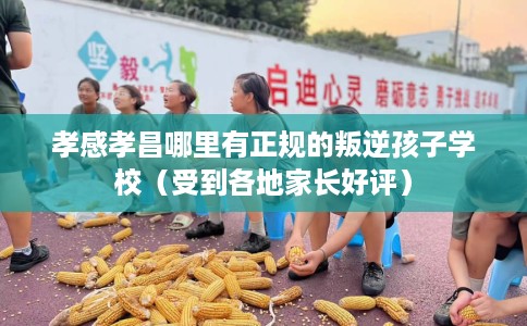 孝感孝昌哪里有正规的叛逆孩子学校（受到各地家长好评）