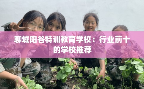 聊城阳谷特训教育学校：行业前十的学校推荐