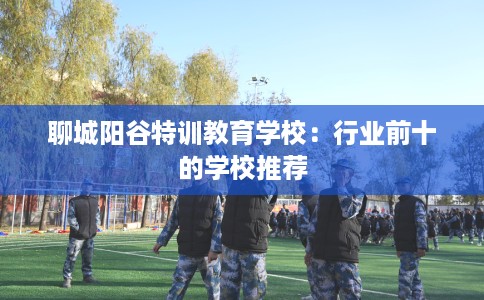 聊城阳谷特训教育学校：行业前十的学校推荐