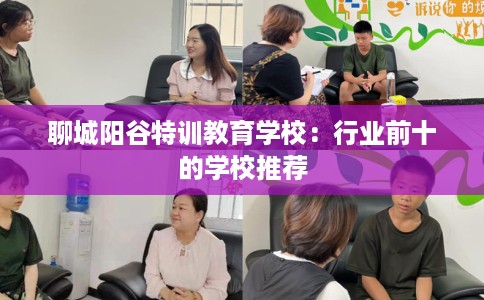 聊城阳谷特训教育学校：行业前十的学校推荐