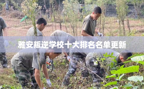 雅安叛逆学校十大排名名单更新