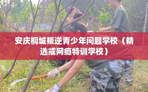 安庆桐城叛逆青少年问题学校（精选戒网瘾特训学校）